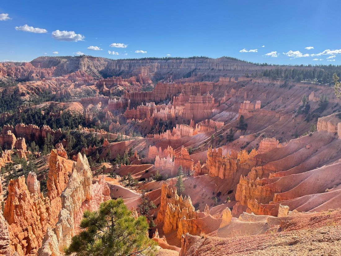 Red rock hoodoos