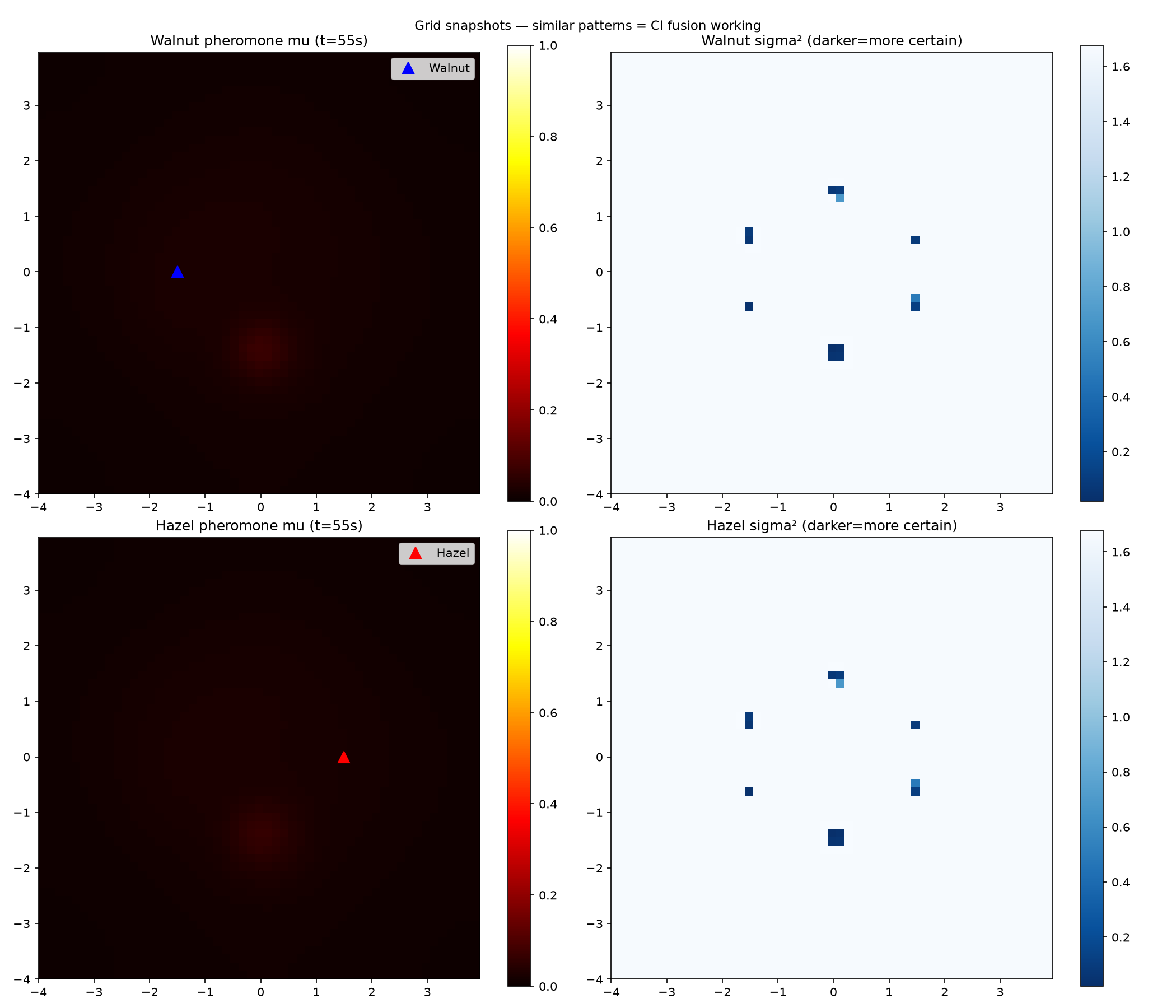 Four panels. The left panels show pheromone grids as mostly black fields. The right panels show uncertainty grids with small dark blue squares at matching positions.